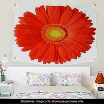 Flower Wall Art 1830743