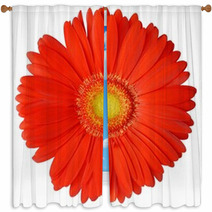 Flower Window Curtains 1830743