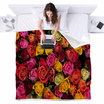 Flowers. Colorful Roses Background Blankets 41650498