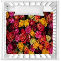 Flowers. Colorful Roses Background Nursery Decor 41650498