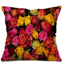 Flowers. Colorful Roses Background Pillows 41650498