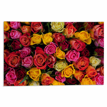 Flowers. Colorful Roses Background Rugs 41650498