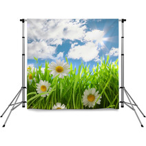 Flowers With Grassy Field On Blue Sky And Sunshine Backdrops 64858379