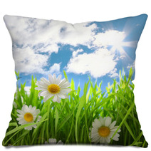 Flowers With Grassy Field On Blue Sky And Sunshine Pillows 64858379