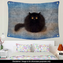 Fluffy Black Mad Kitten On Blue Background Wall Art 164991707