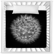Fluffy White Dandelion On A Black Background Nursery Decor 58927563