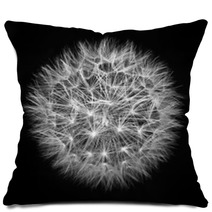Fluffy White Dandelion On A Black Background Pillows 58927563