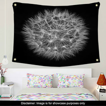 Fluffy White Dandelion On A Black Background Wall Art 58927563
