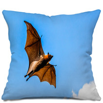 Flying Fox On Blue Sky Pillows 67879560