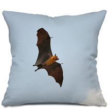 Flying Fox Pillows 86160939