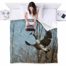Flying Goose Blankets 61522452