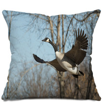 Flying Goose Pillows 61522452