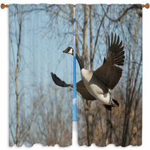 Flying Goose Window Curtains 61522452