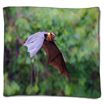Flying Lyle's Flying Fox (Pteropus Lylei) Blankets 72971308