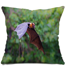 Flying Lyle's Flying Fox (Pteropus Lylei) Pillows 72971308