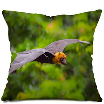 Flying Male Lyle's Flying Fox (Pteropus Lylei) Pillows 72178757