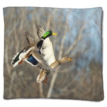 Flying Mallard Duck Blankets 89322655