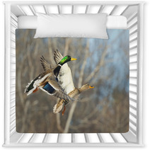 Flying Mallard Duck Nursery Decor 89322655
