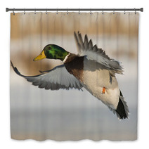 Flying Mallard Duck Photography Bath Decor 89323699