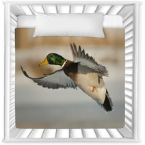 Flying Mallard Duck Photography Nursery Decor 89323699