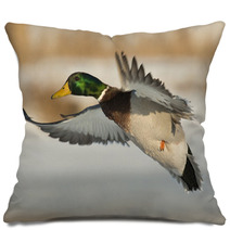 Flying Mallard Duck Photography Pillows 89323699