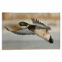 Flying Mallard Duck Photography Rugs 89323699