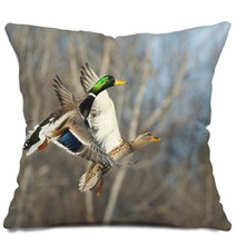 Flying Mallard Duck Pillows 89322655