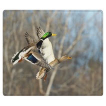 Flying Mallard Duck Rugs 89322655