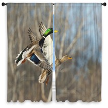 Flying Mallard Duck Window Curtains 89322655