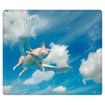 Flying Pig Rugs 15250279