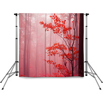 Foggy Autumn Day Into The Forest Backdrops 52986001
