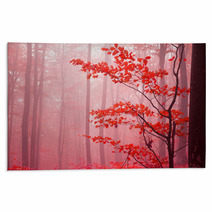 Foggy Autumn Day Into The Forest Rugs 52986001