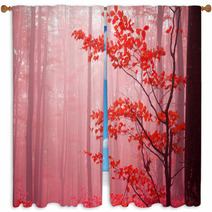 Foggy Autumn Day Into The Forest Window Curtains 52986001