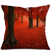 Foggy Mystic Forest During Fall Pillows 65492300