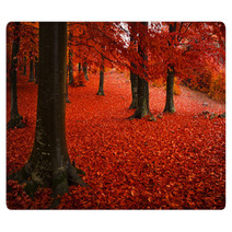 Foggy Mystic Forest During Fall Rugs 65492300