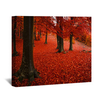 Foggy Mystic Forest During Fall Wall Art 65492300