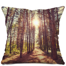 Forest Pillows 64250669