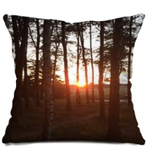 Forest Pillows 67765625