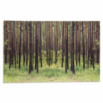 Forest Rugs 59921480