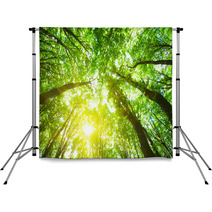 Forest Trees Backdrops 61826282