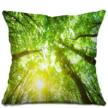 Forest Trees Pillows 61826282