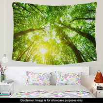 Forest Trees Wall Art 61826282