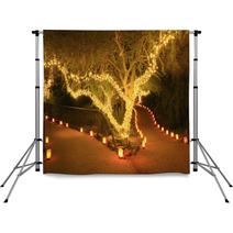 Forked Path Illuminated By Tree Lights And Luminarias Backdrops 37547304