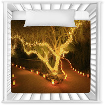 Forked Path Illuminated By Tree Lights And Luminarias Nursery Decor 37547304
