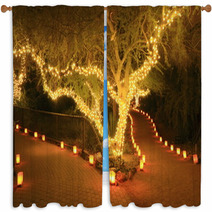 Forked Path Illuminated By Tree Lights And Luminarias Window Curtains 37547304