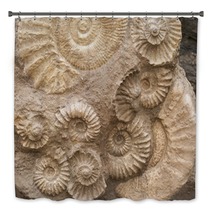 Fossils Bath Decor 47505805