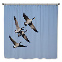 Four Canada Geese Flying In Blue Sky Bath Decor 62373979