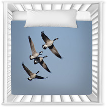 Four Canada Geese Flying In Blue Sky Nursery Decor 62373979
