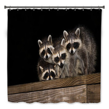 Four Cute Baby Raccoons On A Deck Railing Bath Decor 99966799