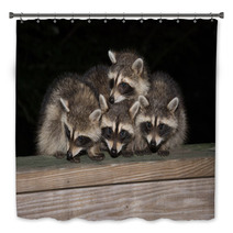 Four Cute Baby Raccoons On A Deck Railing Bath Decor 99966832
